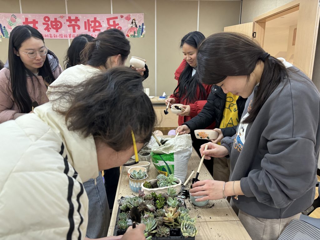 绿意盎然，共筑生命之美——妇女节多肉种植活动