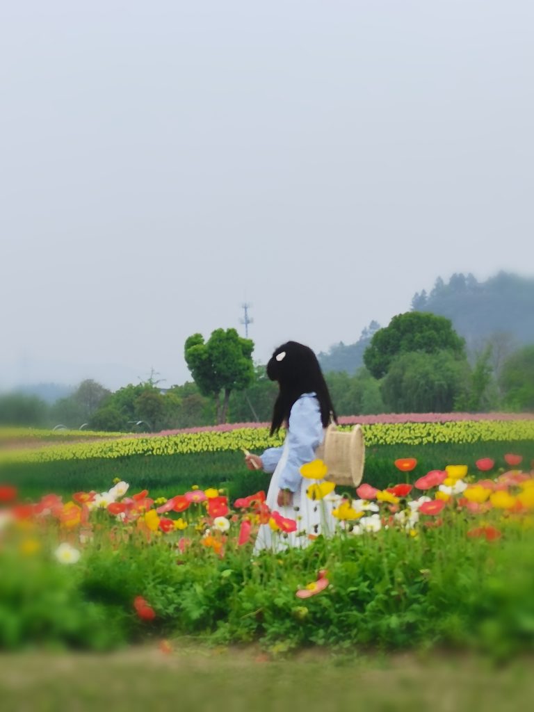 宋韵良景，繁花成海！丨第一季度会议暨团建活动圆满结束！