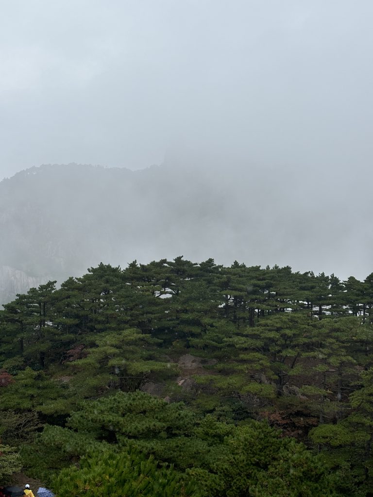 凝心聚力，勇攀高峰！丨三赢人力集团2024年第三季度会议及团建活动